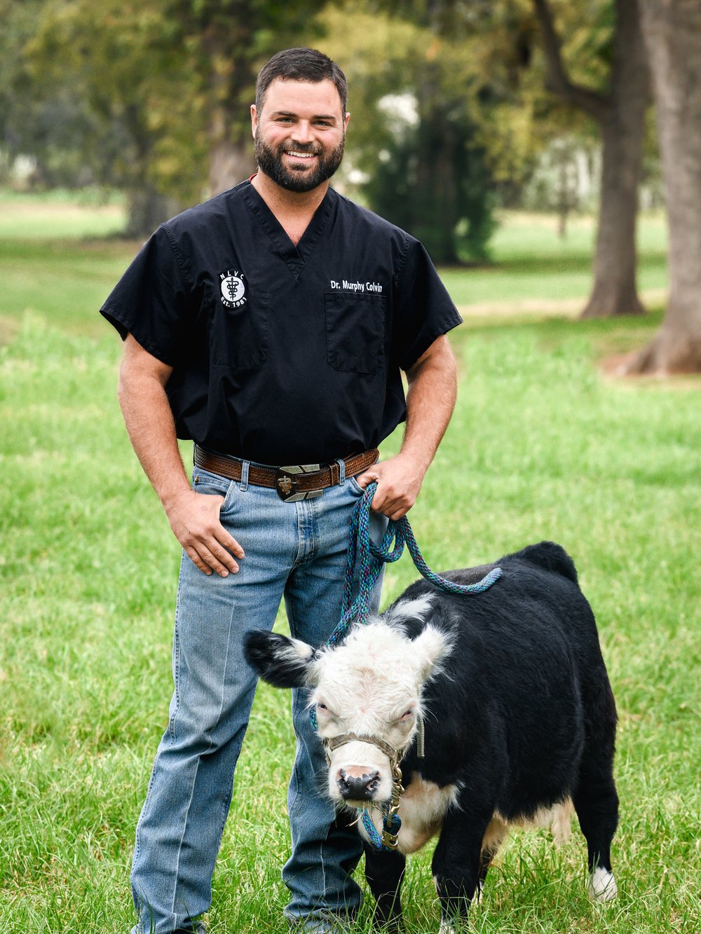 Dr. Murphy Colvin with a mini cow